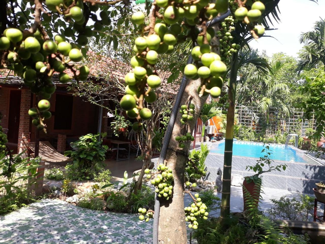 An Phu Homestay Ninh Bình Kültér fotó