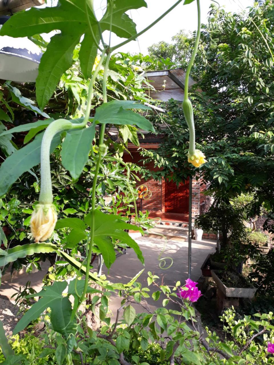 An Phu Homestay Ninh Bình Kültér fotó